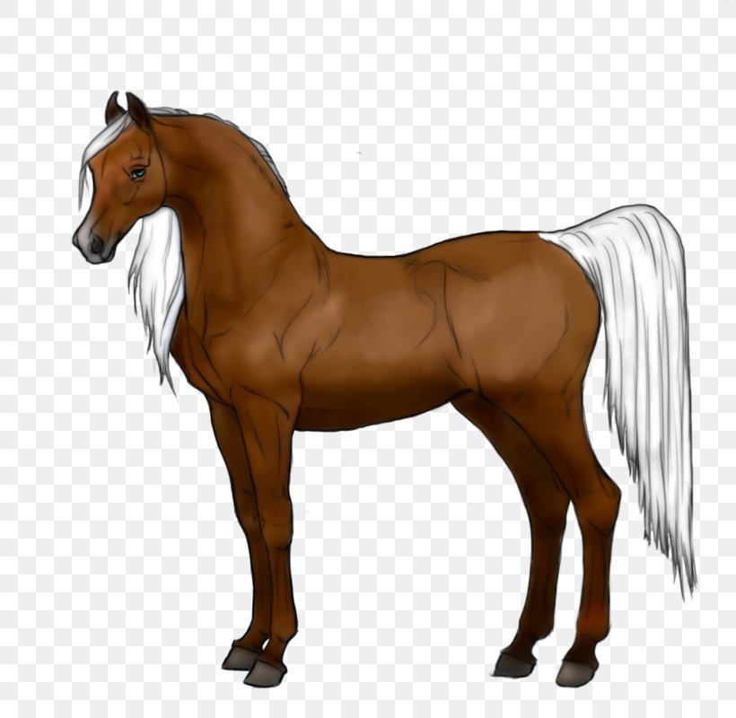Mustang Mane Friesian Horse Arabian Horse Stallion, PNG, 800x800px, Mustang, Animal Figure, Arabian Horse, Bridle, Colt Download Free
