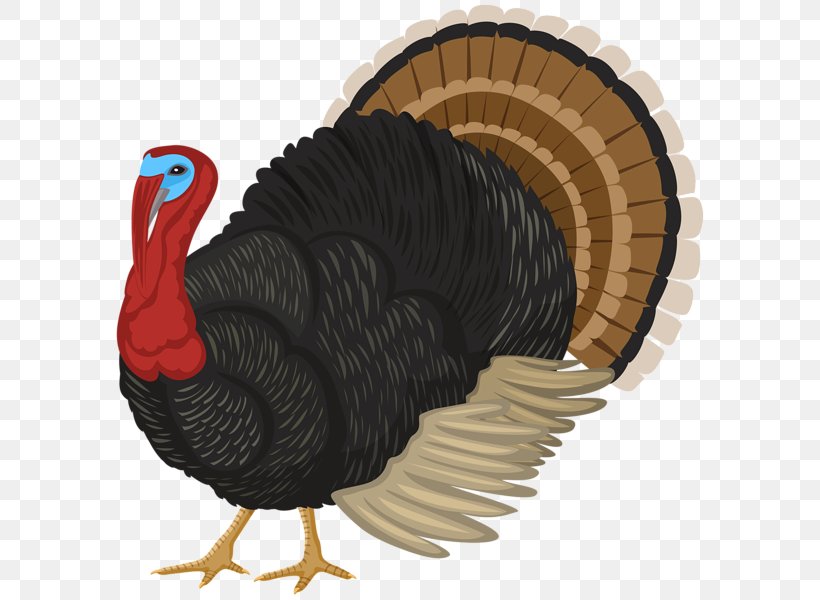 Image Turkey Meat Clip Art GIF, PNG, 596x600px, Turkey Meat, Animation, Beak, Bird, Domestic Turkey Download Free