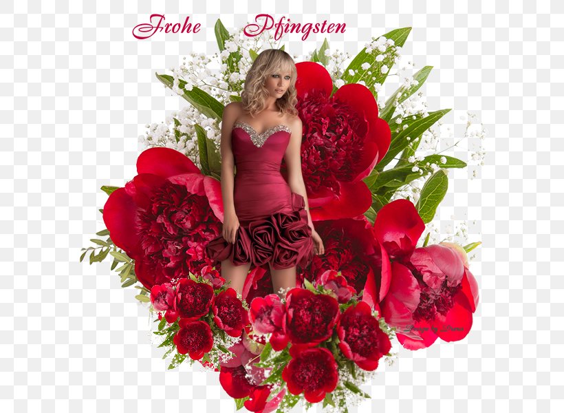 Garden Roses Weihnachtsstern-Strauss Von Moderne Hausfrau Cut Flowers Floral Design, PNG, 600x600px, Watercolor, Cartoon, Flower, Frame, Heart Download Free