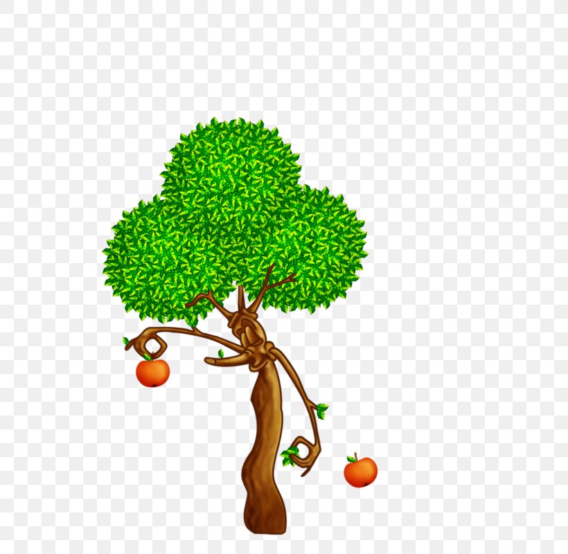Tree Drawing Oak Clip Art, PNG, 800x800px, Tree, Branch, Digital Image, Drawing, Giant Sequoia Download Free