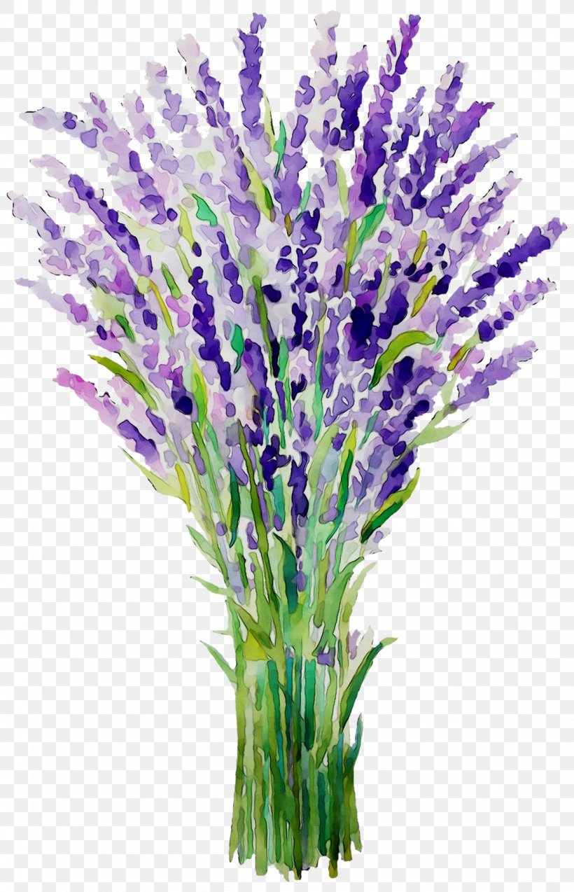 English Lavender French Lavender Plant Stem Cut Flowers Grasses, PNG, 1150x1788px, English Lavender, Aquarium, Aquarium Decor, Artificial Flower, Cut Flowers Download Free