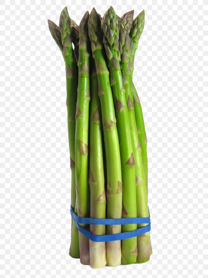 Asparagus Vegetable Food Broccoli Onion, PNG, 1371x1828px, Asparagus, Broccoli, Commodity, Cooking, Cucumber Download Free