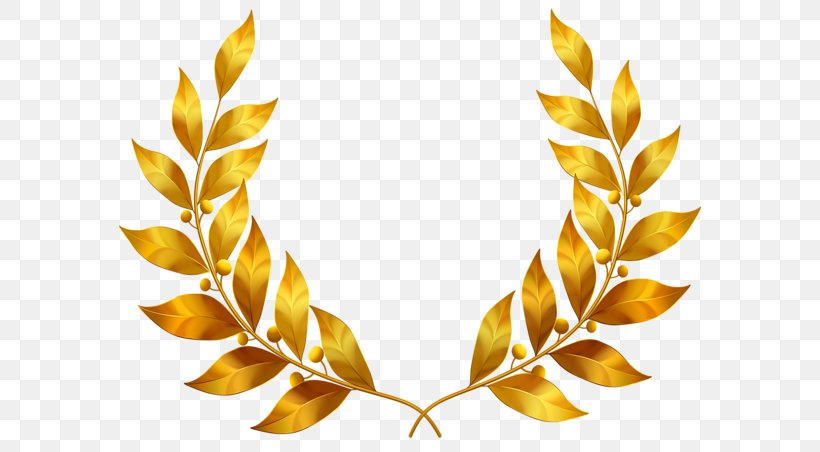 Gold Leaf Bay Laurel Clip Art, PNG, 600x452px, Gold Leaf, Autumn Leaf Color, Bay Laurel, Gold, Laurel Wreath Download Free