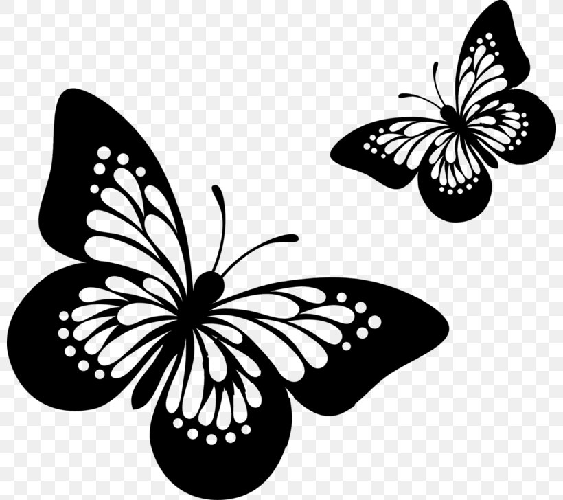 Monarch Butterfly Sticker Mural Wall Decal Interni & Decori, PNG, 800x728px, Monarch Butterfly, Blackandwhite, Brushfooted Butterflies, Brushfooted Butterfly, Butterfly Download Free