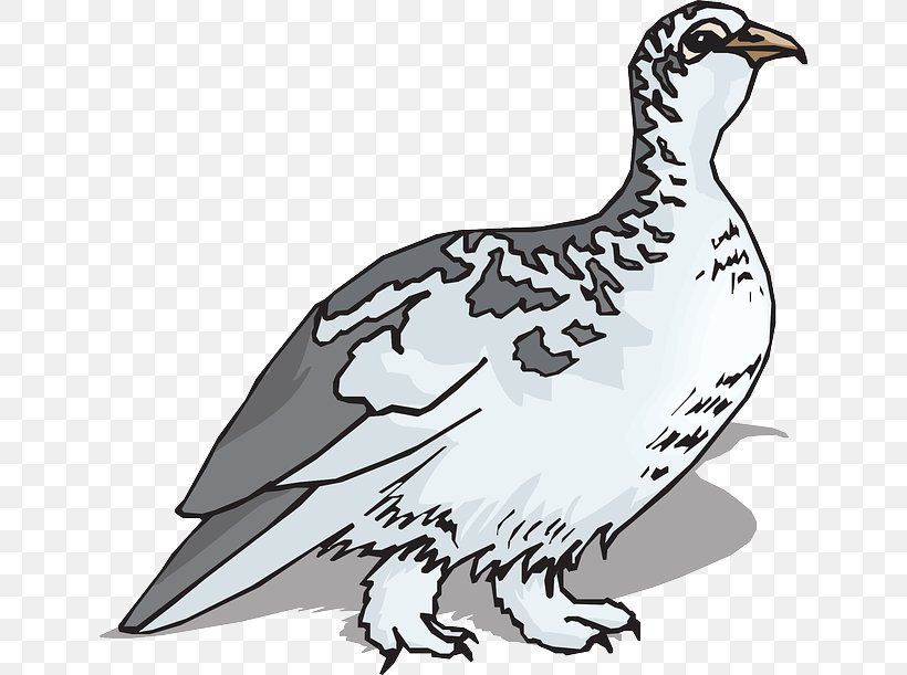 Rock Ptarmigan Bird Willow Ptarmigan Clip Art, PNG, 640x611px, Rock Ptarmigan, Animal Figure, Artwork, Beak, Bird Download Free