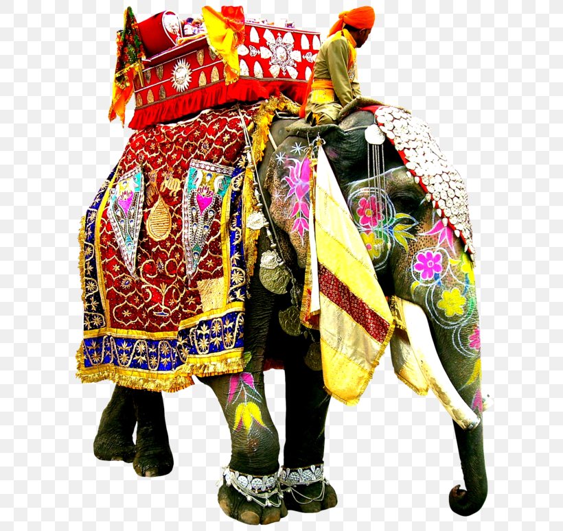 African Elephant Indian Elephant, PNG, 675x774px, African Elephant, Animal, Asian Elephant, Elephant, Elephant Parade Download Free