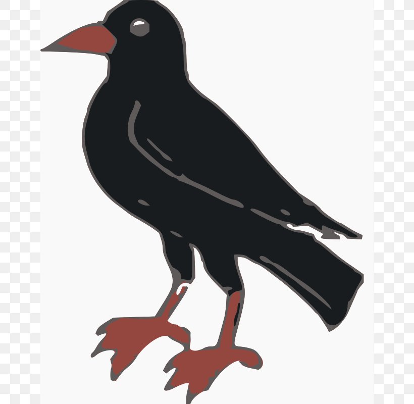 Crows Clip Art, PNG, 800x800px, Crows, Beak, Bird, Crow, Crow Like Bird Download Free