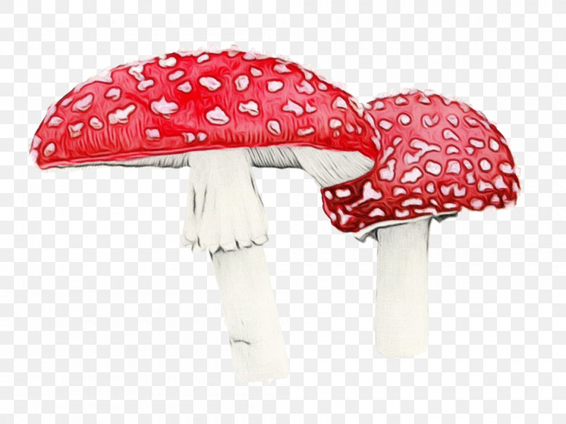 Red Mushroom Pink Agaric Umbrella, PNG, 1000x750px, Watercolor, Agaric, Agaricaceae, Agaricus, Fungus Download Free