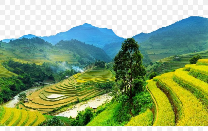 Sa Pa Mxf9 Cang Chu1ea3i District Jigsaw Puzzle Terrace Field, PNG, 1024x646px, Sa Pa, Agriculture, Crop, Field, Harvest Download Free