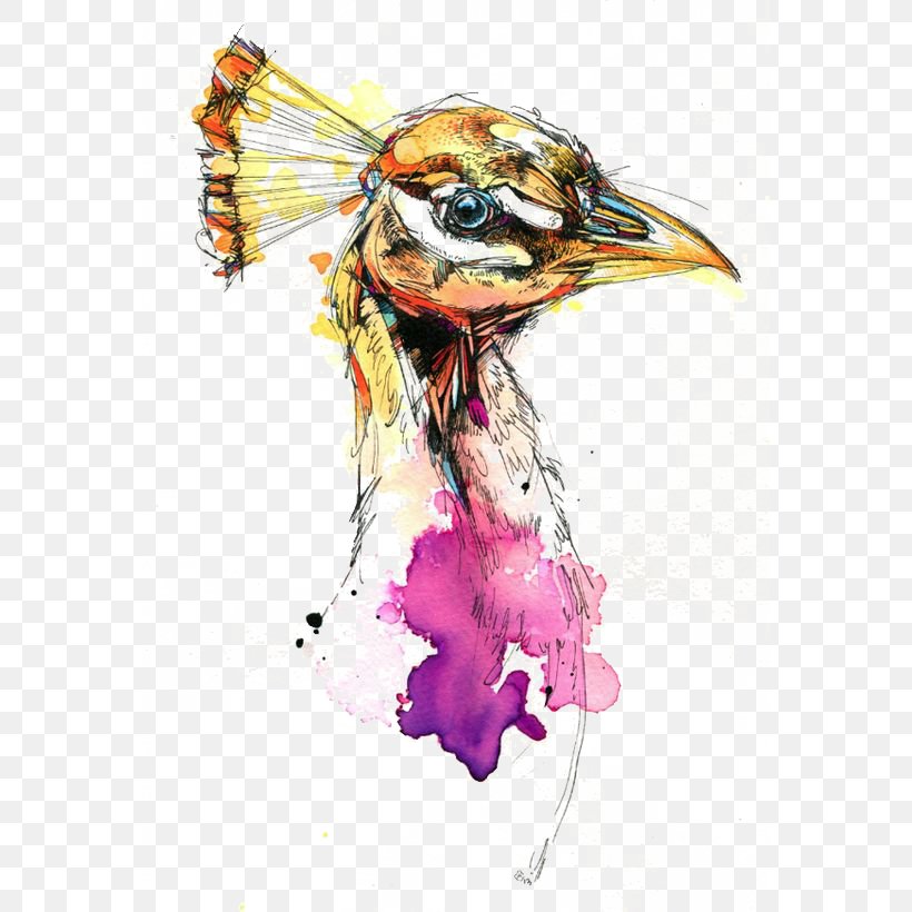Bird Watercolor Painting Drawing Visual Arts, PNG, 564x820px, Bird, Art, Artist, Beak, Costume Design Download Free