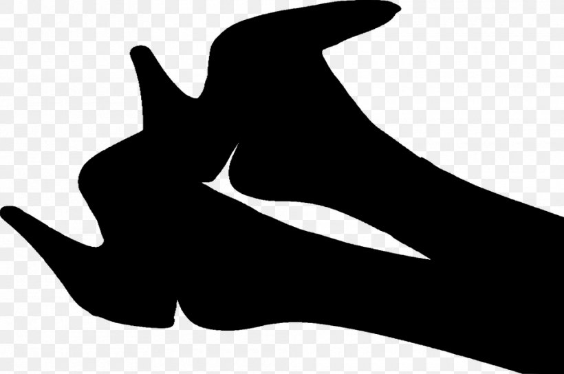 High-heeled Shoe Stiletto Heel Court Shoe, PNG, 960x638px, Highheeled Shoe, Black, Black And White, Court Shoe, Fashion Download Free