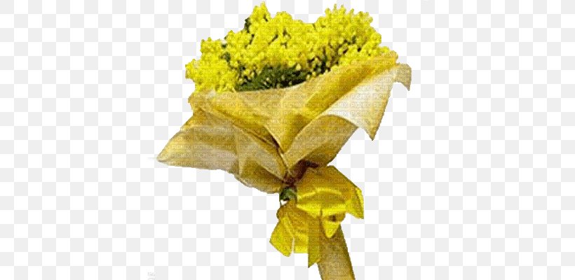 International Women's Day Woman Flower Acacia Dealbata Mimosa, PNG, 400x400px, 8 March, International Women S Day, Acacia Dealbata, Christmas, Cut Flowers Download Free