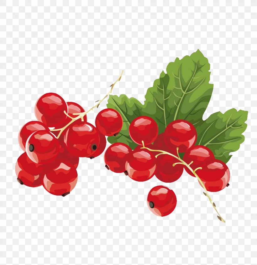 Juice Kissel Redcurrant Blackcurrant Berry, PNG, 1000x1030px, Juice, Amorodo, Antioxidant, Aroma, Berry Download Free