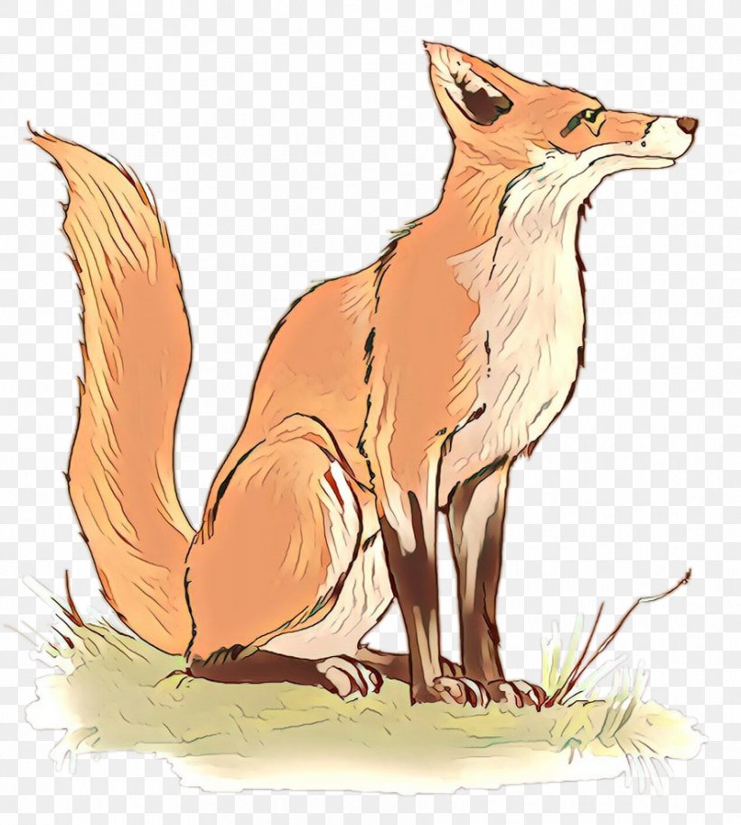 Red Fox Illustration Fauna Cartoon Fox News, PNG, 886x987px, Red Fox, Animal Figure, Canidae, Carnivore, Cartoon Download Free