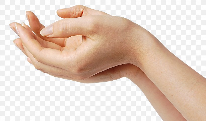 Thumb Hand Disease Homo Sapiens Ладони, PNG, 1562x915px, Thumb, Arm, Bathroom, Brown, Color Download Free