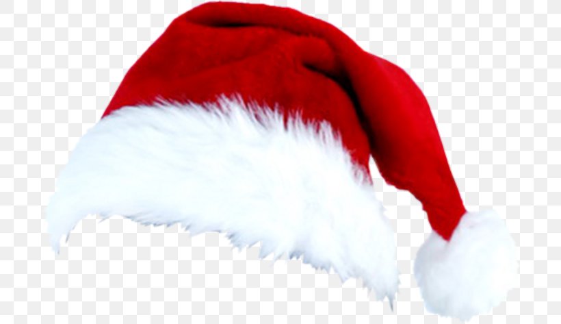 Bonnet Christmas Cap Santa Claus, PNG, 700x473px, Bonnet, Blog, Cap, Christmas, Christmas Tree Download Free