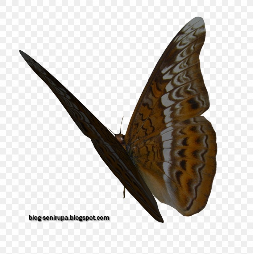 Butterfly Stock Photography Visual Arts, PNG, 1183x1186px, Butterfly, Art, Display Resolution, Image Resolution, Insect Download Free