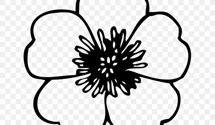 Clip Art Transparency Flower Drawing, PNG, 640x480px, Flower, Black, Black  And White, Blackandwhite, Coloring Book Download