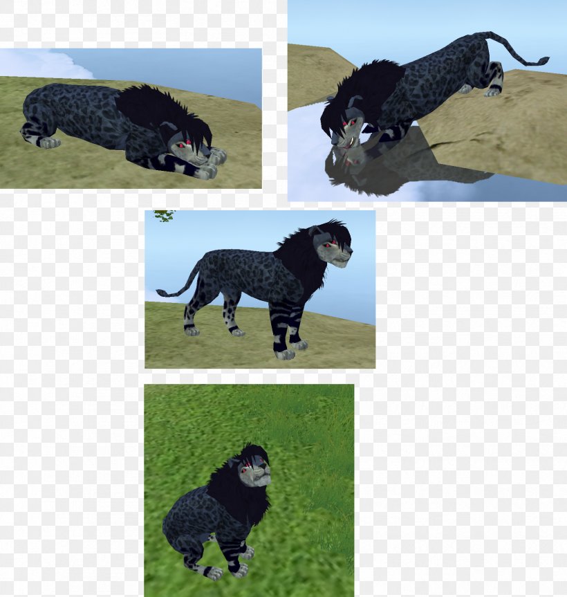 Dog Breed Portuguese Water Dog Spanish Water Dog Sporting Group, PNG, 1669x1758px, Dog Breed, Breed, Carnivoran, Crossbreed, Dog Download Free