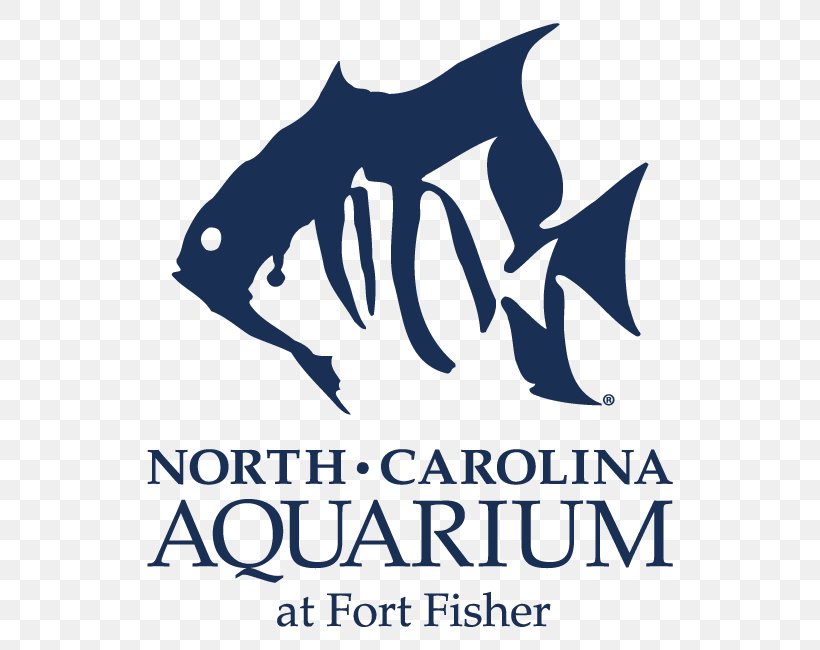 North Carolina Aquarium At Pine Knoll Shores North Carolina Aquarium On Roanoke Island Outer Banks North Carolina Aquarium At Fort Fisher North Carolina Aquariums, PNG, 650x650px, Outer Banks, Area, Artwork, Black And White, Brand Download Free