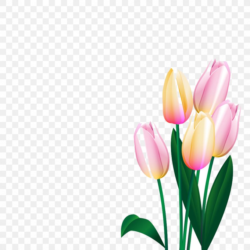 Tulip Flower, PNG, 1000x1000px, Tulip, Cut Flowers, Floral Design, Floristry, Flower Download Free