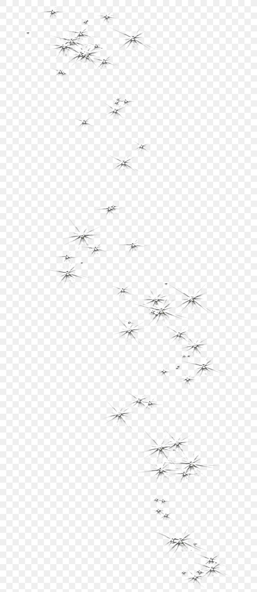 Bird /m/02csf Drawing Point Angle, PNG, 661x1889px, Bird, Area, Black, Black And White, Drawing Download Free