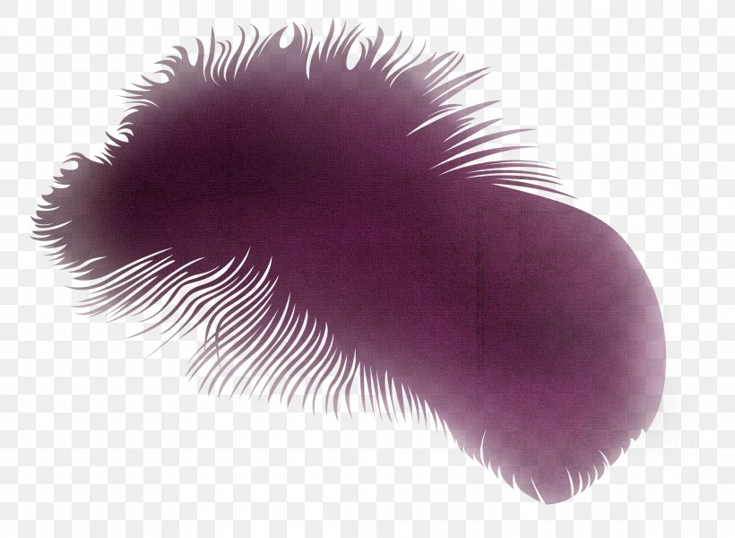 Feather Clip Art, PNG, 2179x1596px, Feather, Drawing, Fur, Magenta, Peafowl Download Free