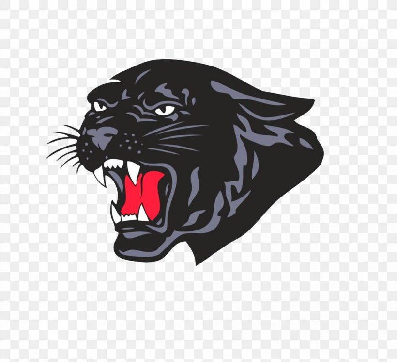 Lehigh Valley Christian High School Saucon Valley High School Saucon Valley Middle School Louis E. Dieruff High School, PNG, 1196x1089px, Lehigh Valley, American Football, Big Cats, Black, Black Panther Download Free