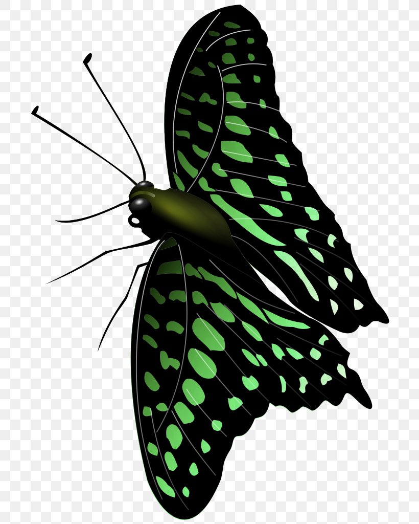 Monarch Butterfly Moth Brush-footed Butterflies Clip Art, PNG, 716x1024px, Monarch Butterfly, Arthropod, Brush Footed Butterfly, Brushfooted Butterflies, Butterflies And Moths Download Free