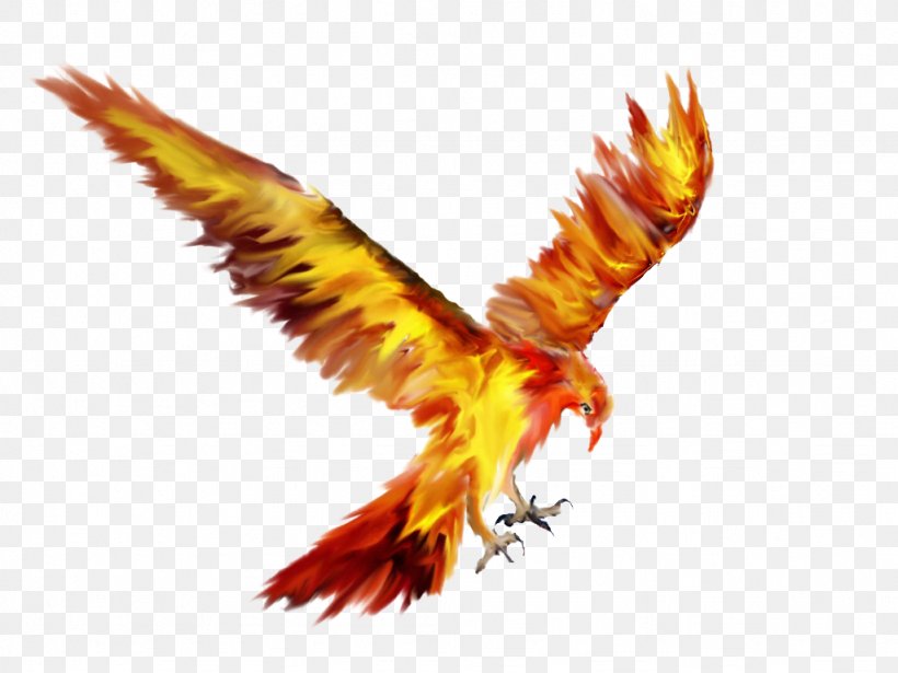 Phoenix Bird Tattoo Sketch Drawing, PNG, 1024x768px, Phoenix, Accipitriformes, Beak, Bird, Bird Of Prey Download Free