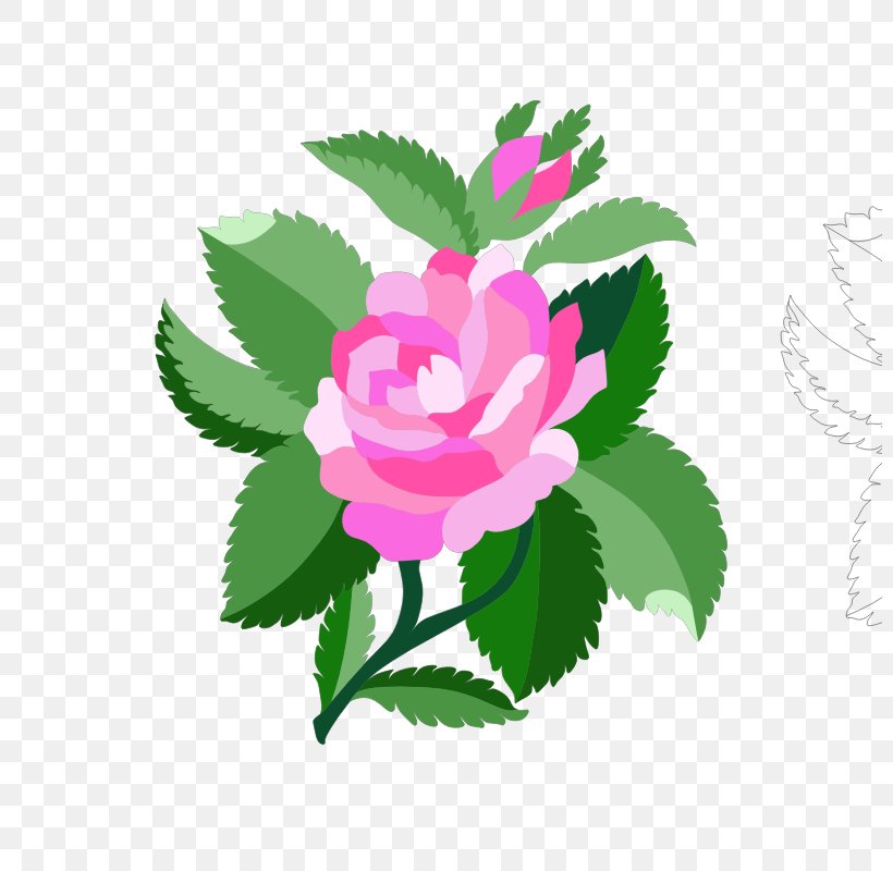 Clip Art Damask Rose Openclipart Vector Graphics Image, PNG, 800x800px, Damask Rose, Cabbage Rose, Damask, Drawing, Floral Design Download Free