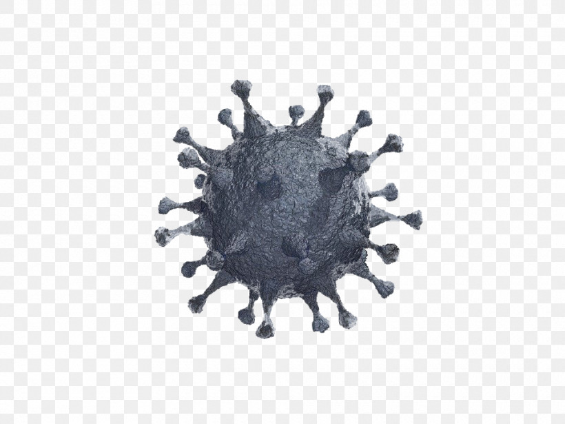 COVID19 Coronavirus Virus, PNG, 960x720px, Covid19, Coronavirus, Logo, Virus Download Free