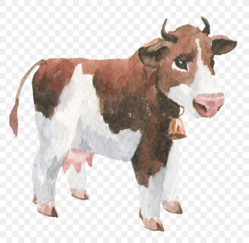 Dairy Cattle Calf Graphic Design, PNG, 800x800px, Dairy Cattle, Animal, Animal Figure, Bull, Calf Download Free