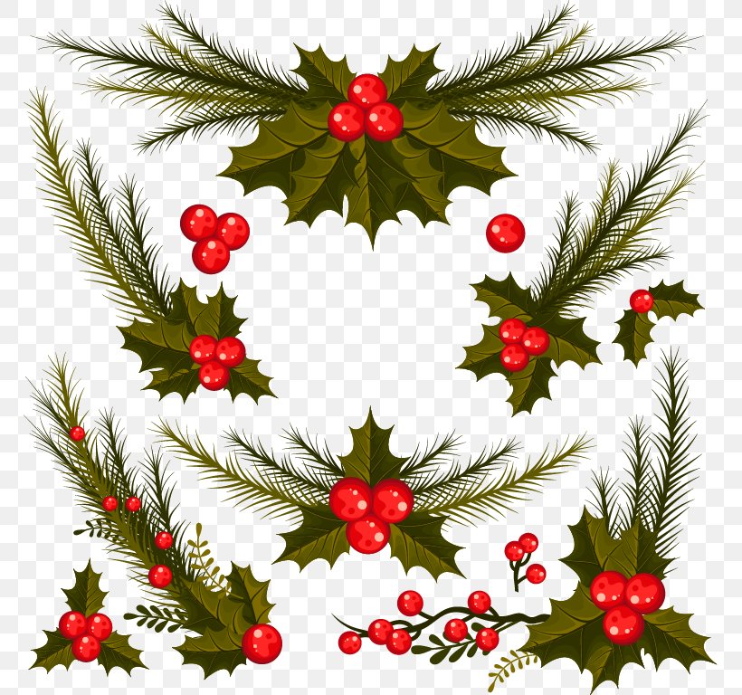 Flower Element, PNG, 767x768px, Flower, Aquifoliaceae, Aquifoliales, Branch, Christmas Download Free