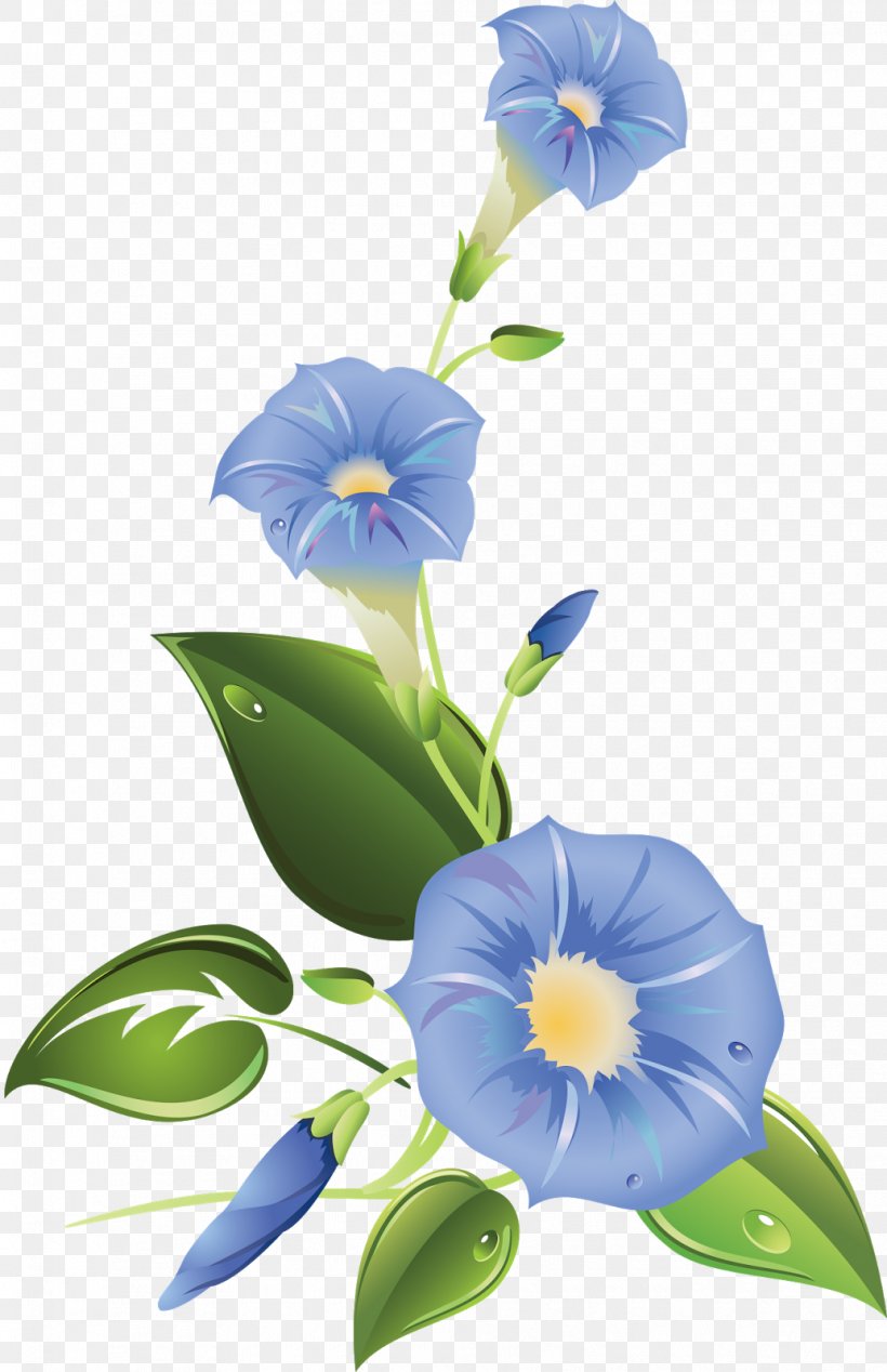 Ipomoea Purpurea Ipomoea Indica Morning Glory Clip Art, PNG, 1034x1600px, Ipomoea Purpurea, Bellflower Family, Blue, Branch, Cdr Download Free