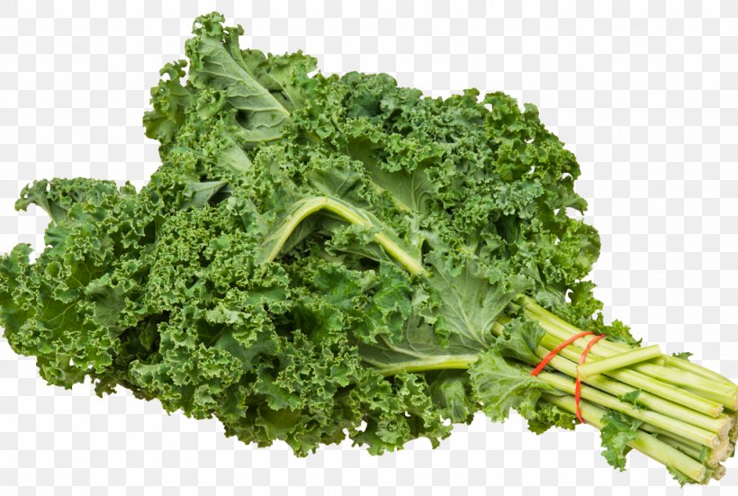 Lacinato Kale Clip Art Leaf Vegetable, PNG, 1024x689px, Lacinato Kale, Broccoli, Cabbage, Collard Greens, Curly Kale Download Free