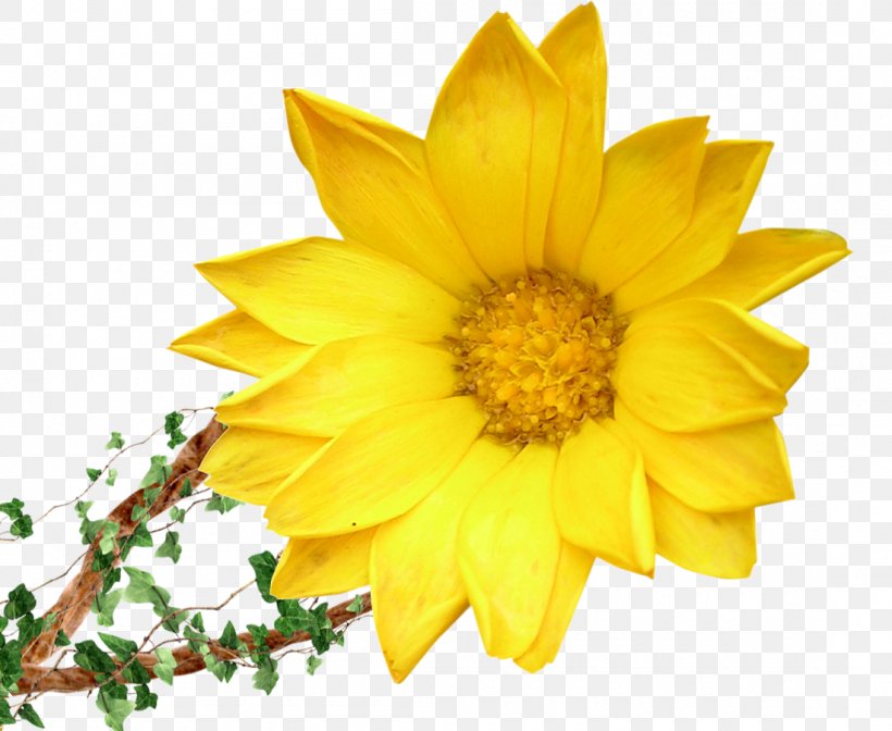 Flower Bouquet Yellow Floristry Clip Art, PNG, 1100x902px, Flower, Arumlily, Blossom, Chrysanths, Common Sunflower Download Free