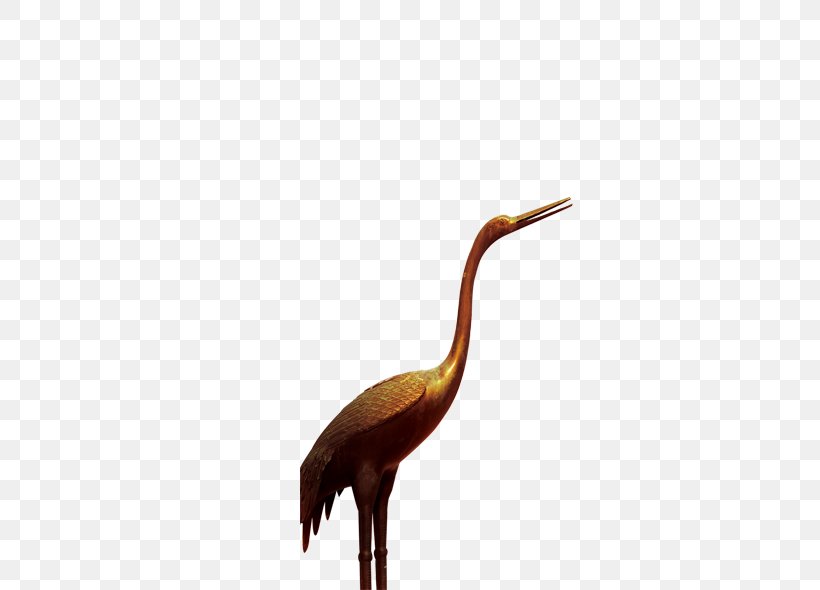 Gold Metal Gratis, PNG, 590x590px, Gold, Beak, Bird, Color, Crane Download Free