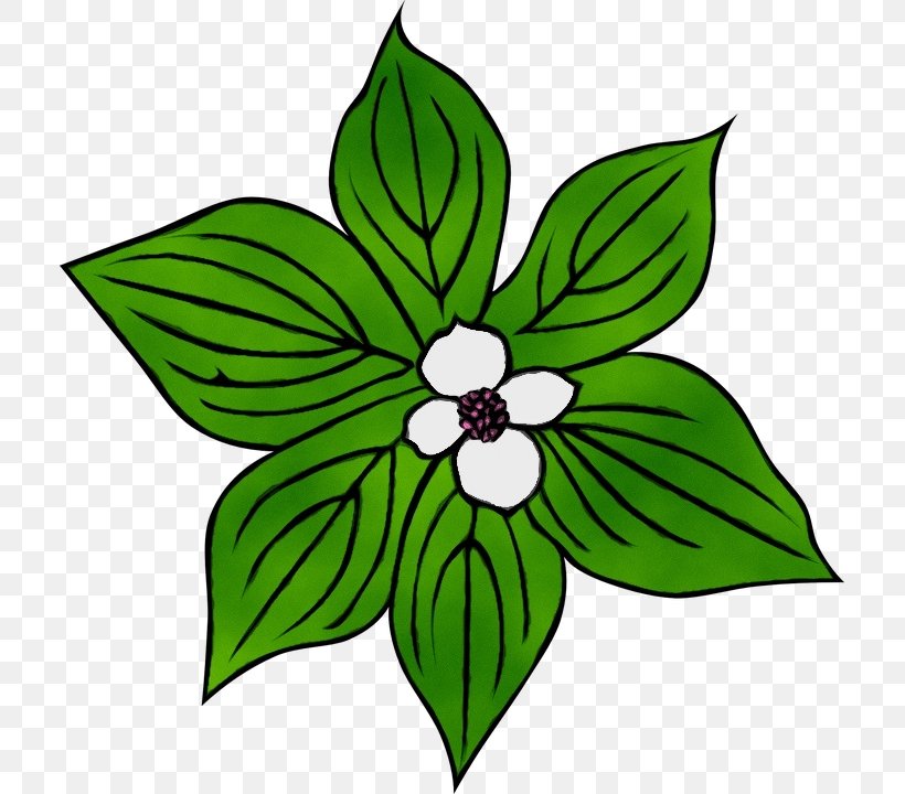 Green Flower Leaf Clip Art Plant, PNG, 711x720px, Watercolor, Blackandwhite, Flower, Green, Leaf Download Free