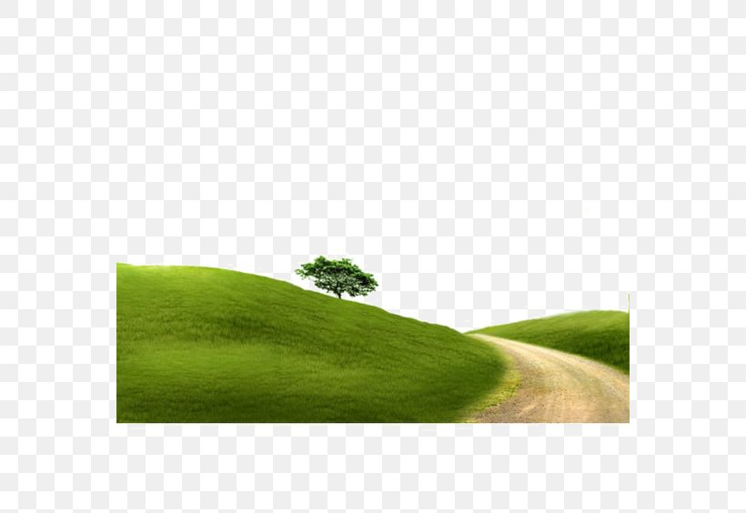 Landscape Gravel Tree, PNG, 564x564px, Lawn, Dirt Road, Field, Grass, Grassland Download Free