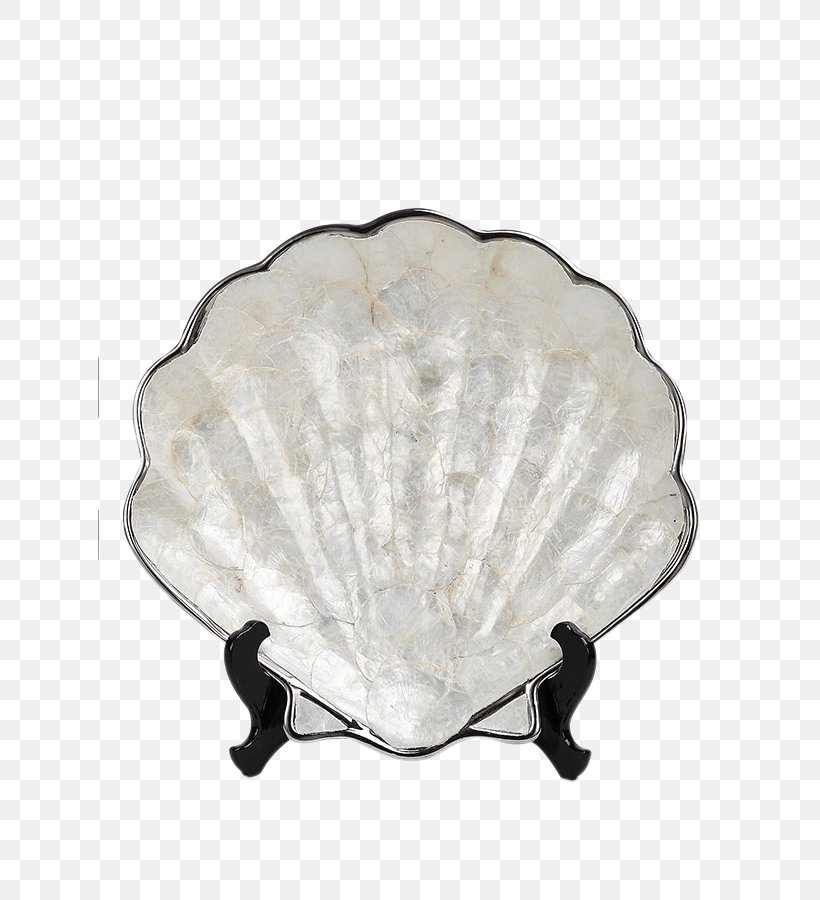 Seashell Conch Entryway, PNG, 750x900px, Seashell, Art, Ceramic, Conch, Creativity Download Free