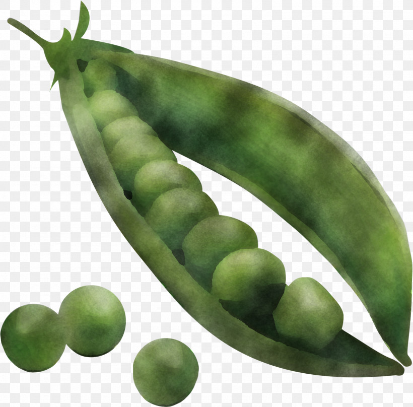 Snap Pea Legume Natural Food Pea Lima Bean, PNG, 1590x1567px, Snap Pea, Commodity, Fruit, Legume, Lima Bean Download Free