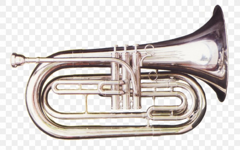 Cornet Mellophone Euphonium Saxhorn Bugle, PNG, 1360x854px, Cornet, Alto Horn, Baritone Horn, Brass Instrument, Brass Instruments Download Free