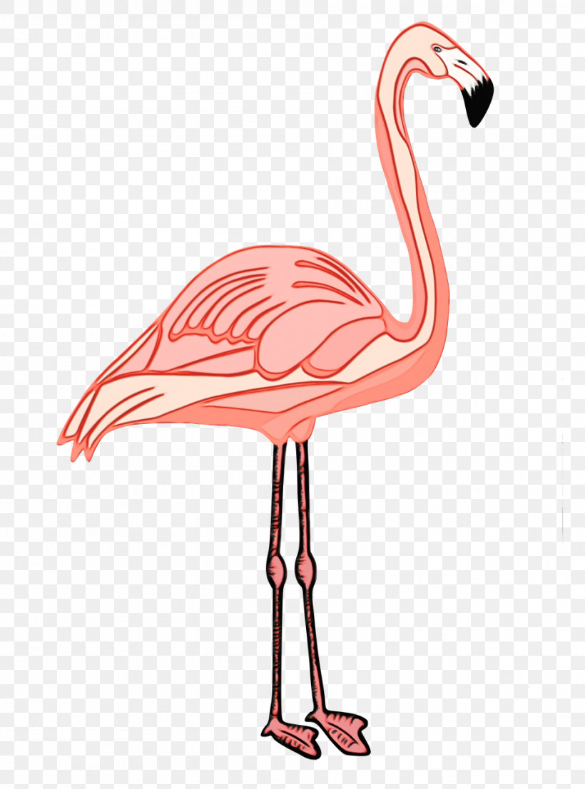 Flamingo, PNG, 948x1280px, Watercolor, Beak, Biology, Birds, Flamingo Download Free