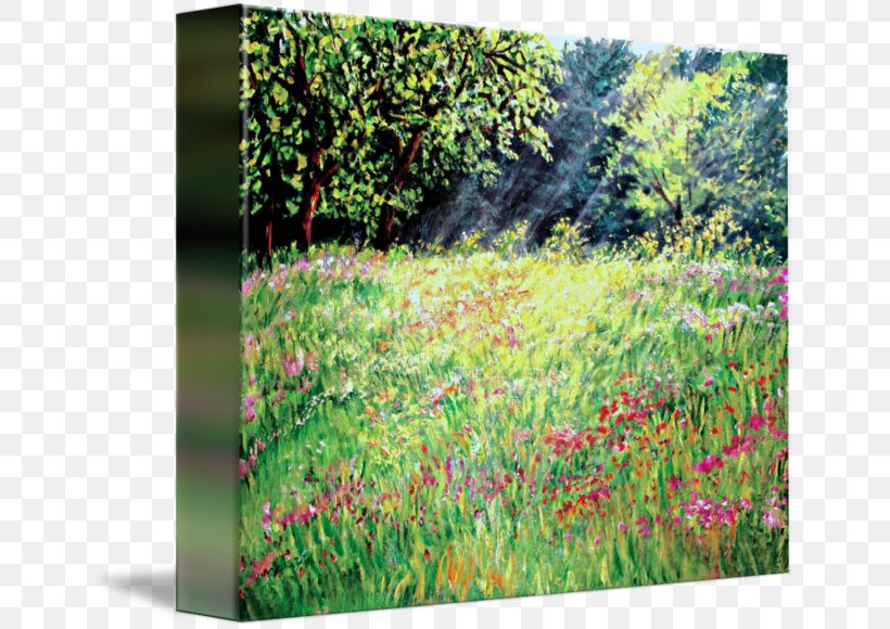 Flora Meadow Vegetation Ecosystem Painting, PNG, 650x580px, Flora, Ecosystem, Field, Flower, Grass Download Free