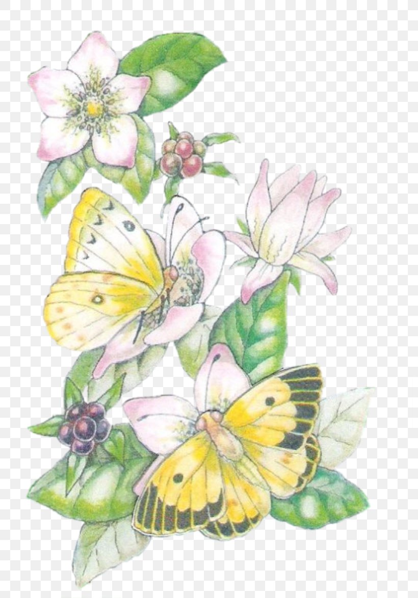 Monarch Butterfly Insect Brush-footed Butterflies, PNG, 800x1174px, Monarch Butterfly, Brush Footed Butterfly, Brushfooted Butterflies, Butterfly, Floral Design Download Free