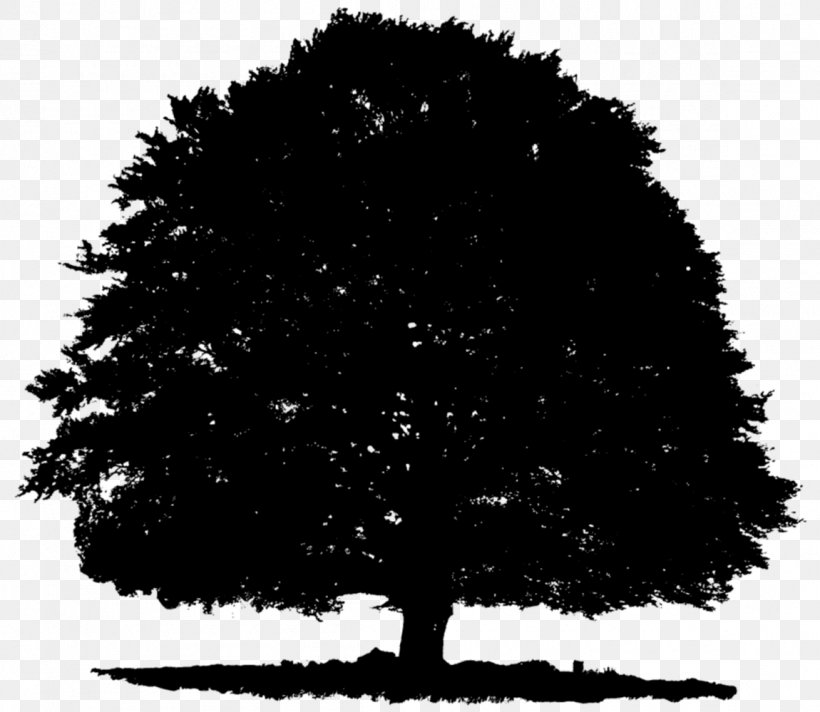Tree Image Photograph Silhouette, PNG, 1150x999px, Tree, Art, Black, Blackandwhite, Branch Download Free