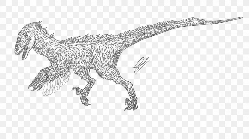 Velociraptor Deinonychus Tyrannosaurus Animal Drawing, PNG, 1193x669px, Velociraptor, Animal, Animal Figure, Art, Black And White Download Free