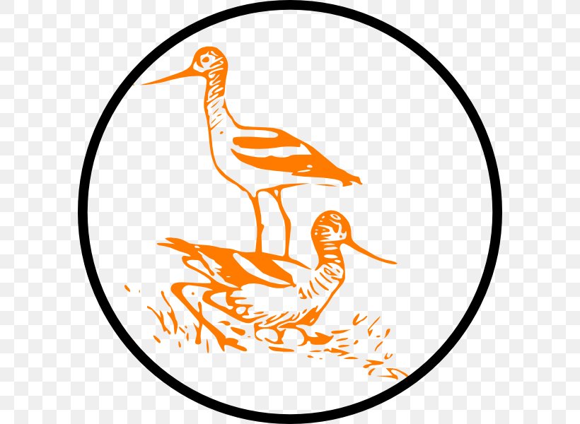Bird Cygnini Line Art Clip Art, PNG, 600x600px, Bird, Animal, Area, Artwork, Beak Download Free