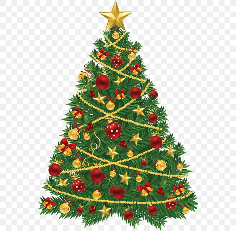 Christmas Tree Christmas Ornament Clip Art, PNG, 556x800px, Christmas, Christmas Decoration, Christmas Gift, Christmas Ornament, Christmas Tree Download Free